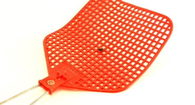 Bild einer Alternative zur Fliegenfalle